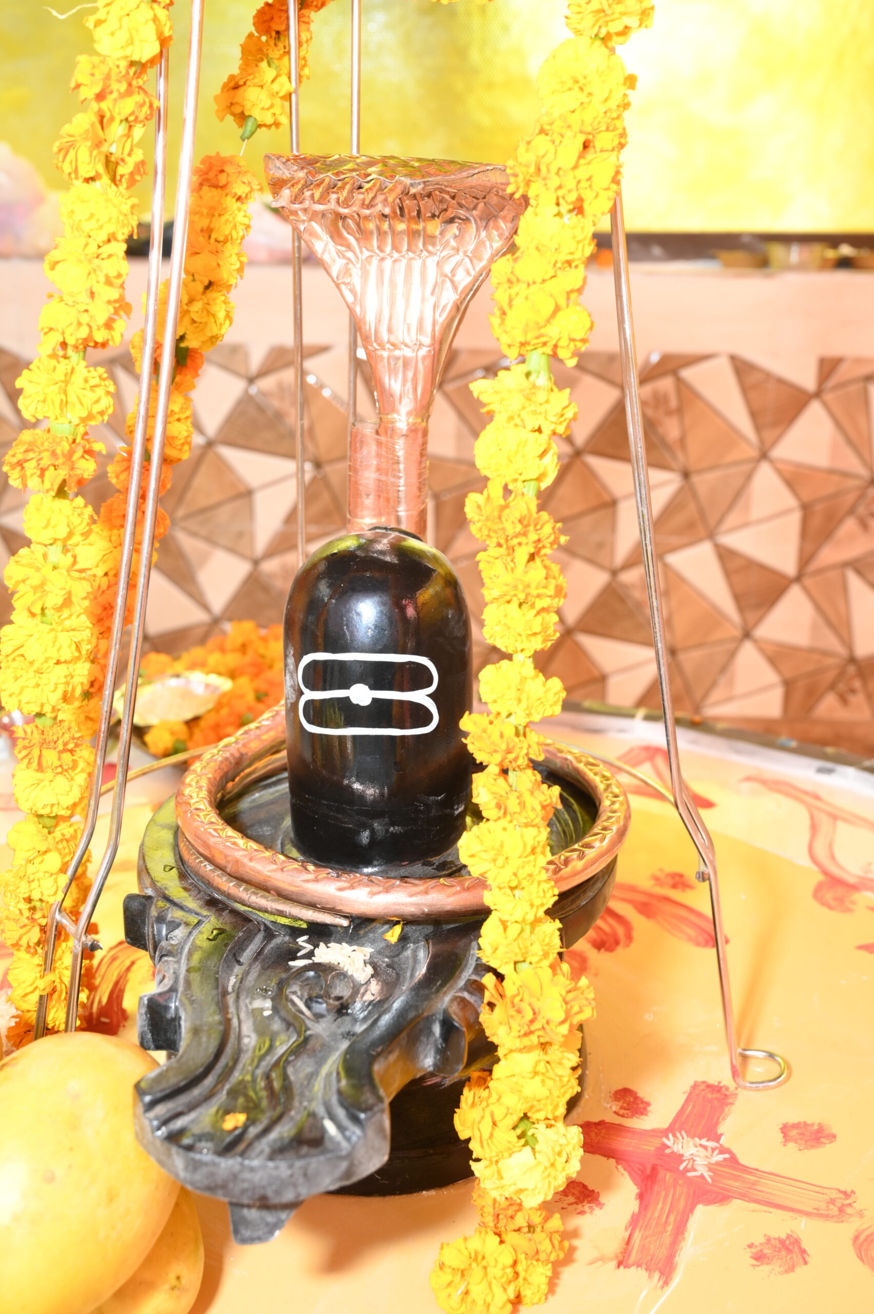 Bar association event photo